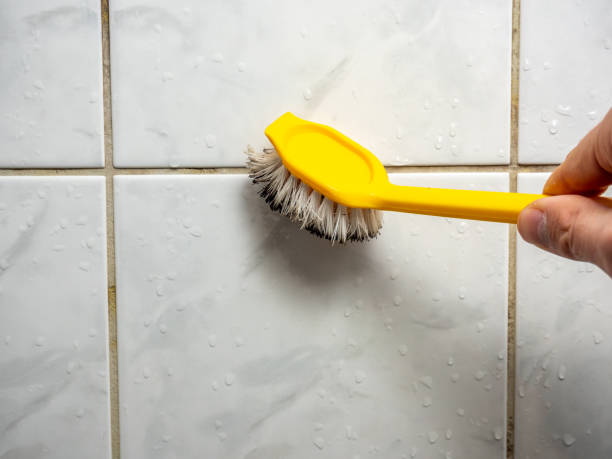 Best Mold Cleaning Services  in Chico, CA