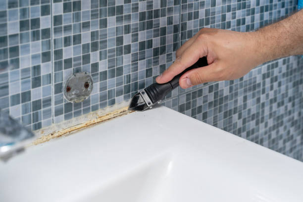 Best Mold Removal Company Near Me  in Chico, CA